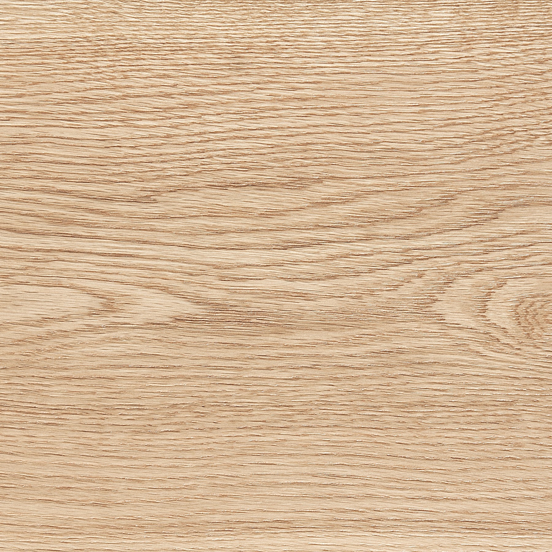 Galea Essential Wood · Crudo