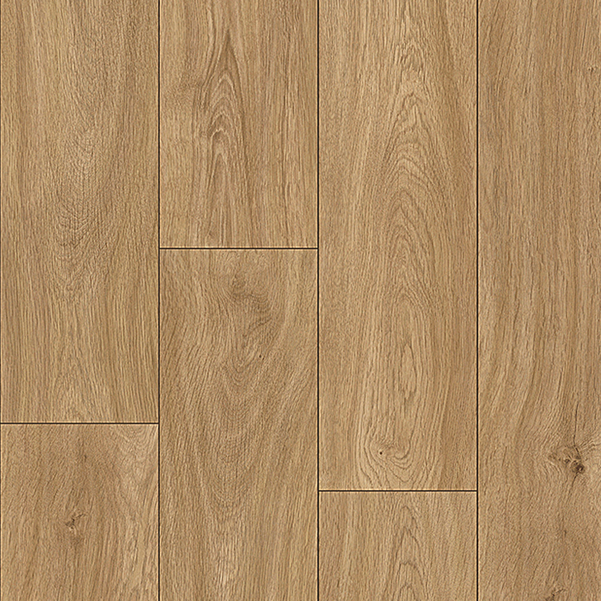 Galea Core Blue · Roble Dartagnan C530