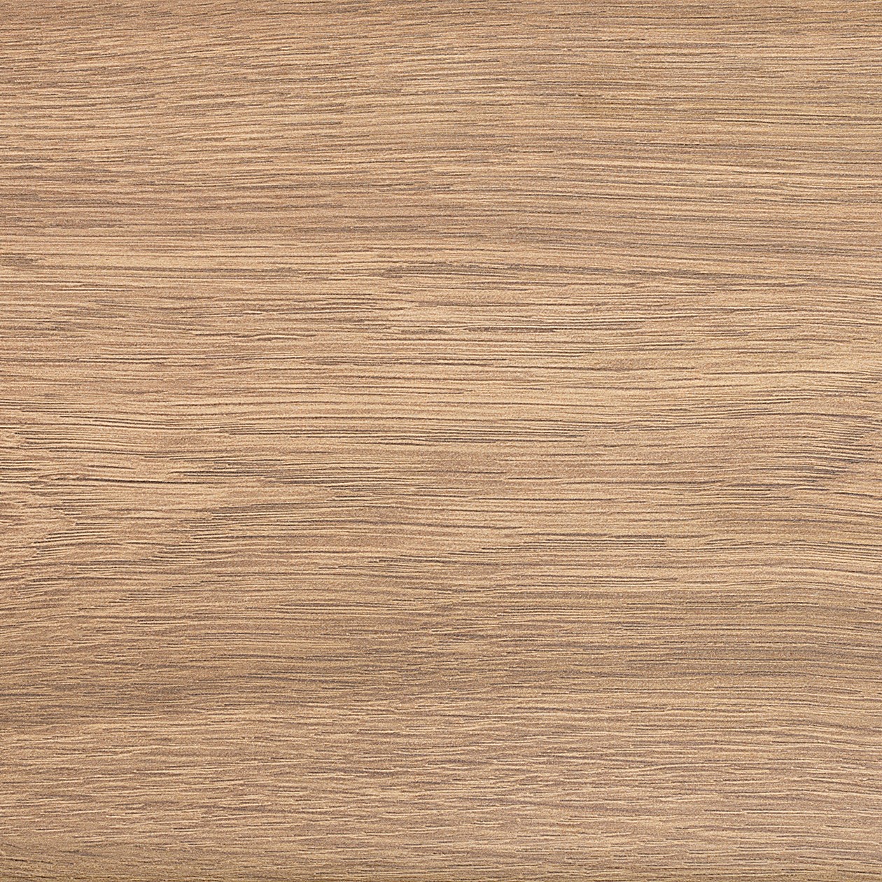 Galea New Legio 4V · Fresno Dakota 329